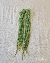 20261012_135819.webp